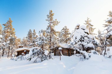 Beautiful winter landscape with wooden hut and snow covered trees in Finnish Lapland forest clipart