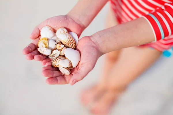 Close Van Een Klein Meisje Met Schelpen Haar Handen — Stockfoto