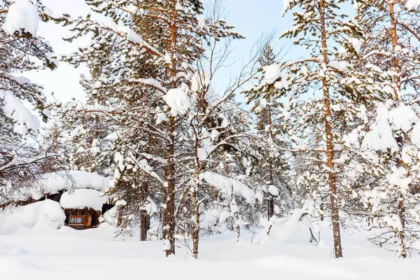 Piękny Zimowy Krajobraz Drewnianą Chatą Pokrytymi Śniegiem Drzewami Fińskim Laponii — Zdjęcie stockowe