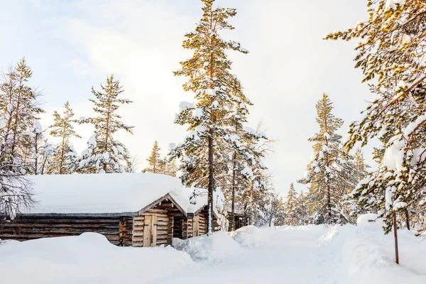 Piękny Zimowy Krajobraz Drewnianą Chatą Pokrytymi Śniegiem Drzewami Fińskim Laponii — Zdjęcie stockowe