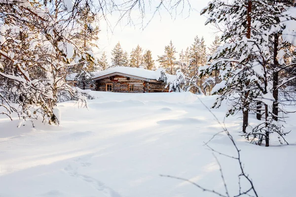 Hermoso Paisaje Invernal Con Cabaña Madera Árboles Cubiertos Nieve Bosque — Foto de Stock