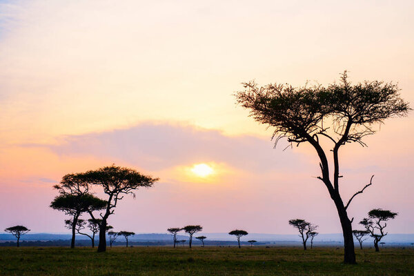 Beautiful landscape of Masai Mara at sunset