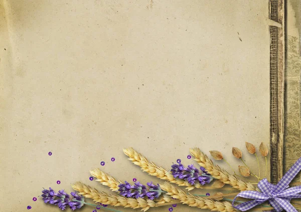 Raccolta Spighe Grano Lavanda Fondo Vintage — Foto Stock