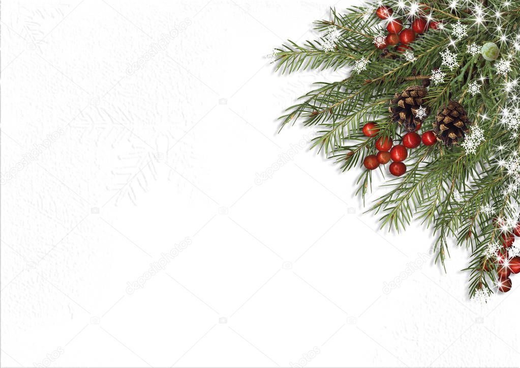 Christmas tree branch, decorations with holly on white backgroun