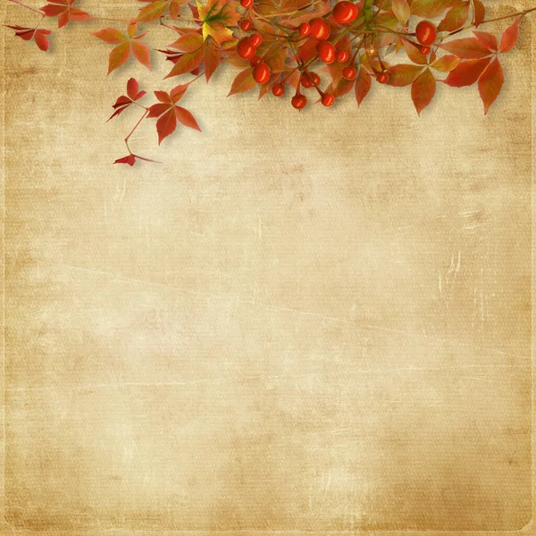 Herbst Hintergrund Herbstzweig Mit Blättern Und Beeren Auf Vintage Hintergrund — Stockfoto