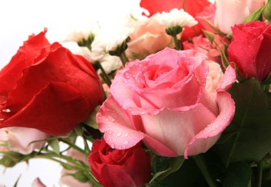 Beyaz arka planda bir buket gül.