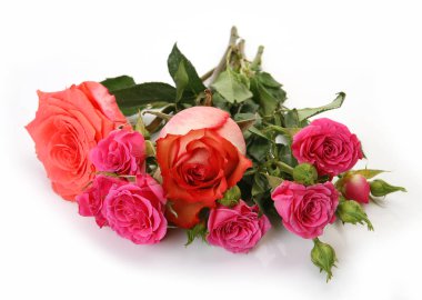 beyaz bir arka plan üzerinde çiçek gül buketi