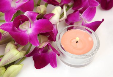 bir şube ve bir mum Pembe orkide çiçek