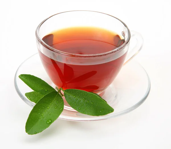 Τσάι Μια Κούπα Και Ένα Πράσινο Φύλλο — Φωτογραφία Αρχείου
