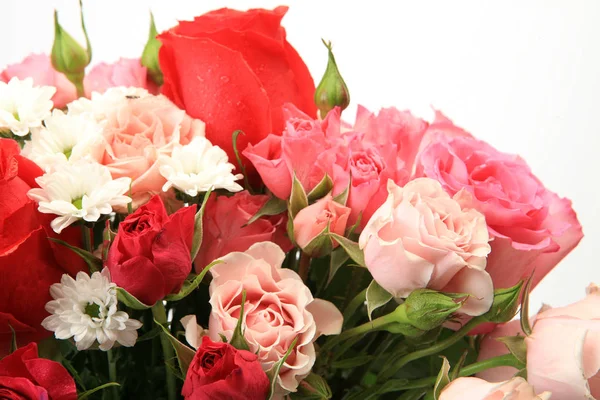 Bouquet Rose Sfondo Bianco — Foto Stock