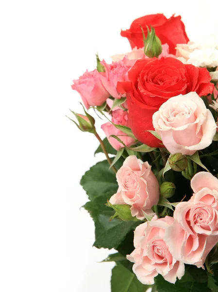 Bouquet Roses White Background — Stock Photo, Image