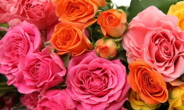 Bouquet Colored Roses — Stock Photo, Image