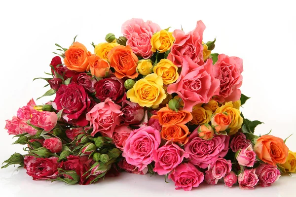 Bouquet Colored Roses — Stock Photo, Image