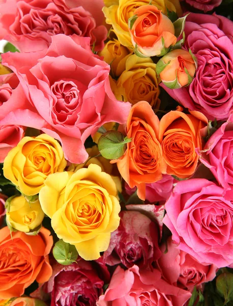 Букет Цветных Роз — стоковое фото