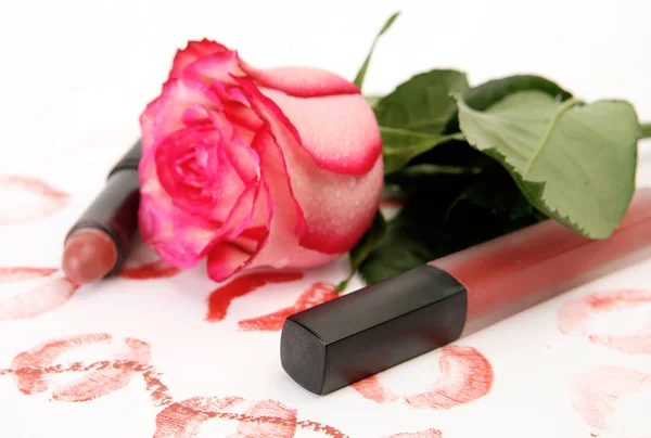 Rossetto Femminile Rosa Rosa — Foto Stock