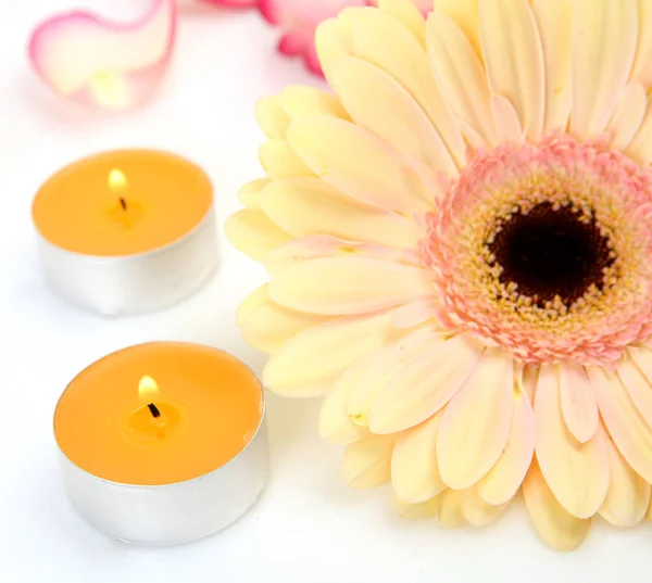 Schöne Blume Und Brennende Kerzen — Stockfoto