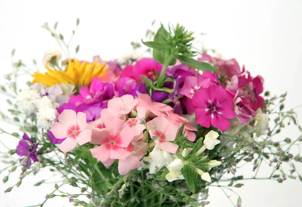 Bouquet Belles Fleurs — Photo