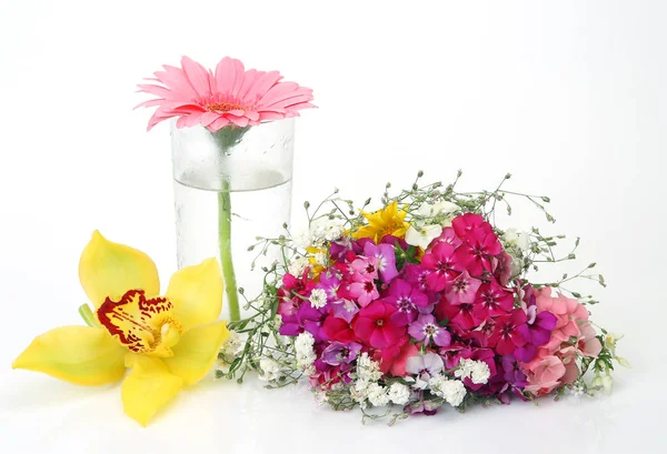 Mooie Bloemen Een Witte Achtergrond — Stockfoto