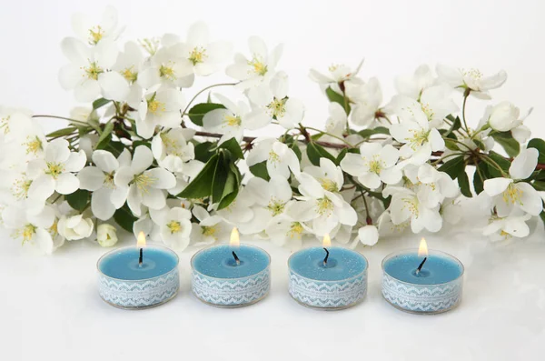 Blooming Apple Tree Branch Burning Candles — Stock Photo, Image