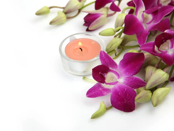 Λουλούδια Ροζ Ορχιδέας Ένα Κλαδί Και Ένα Κερί — Φωτογραφία Αρχείου