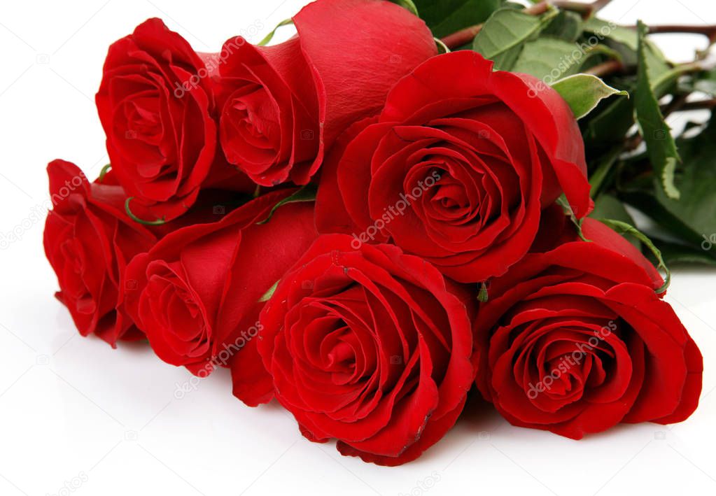 bouquet of scarlet roses on a white background