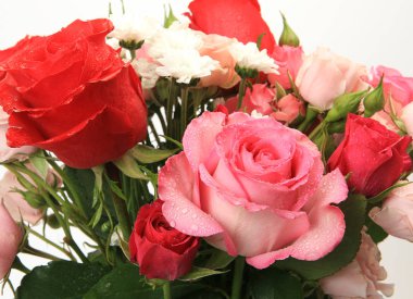 güller ve beyaz zemin üzerine kırmızı gül buketi