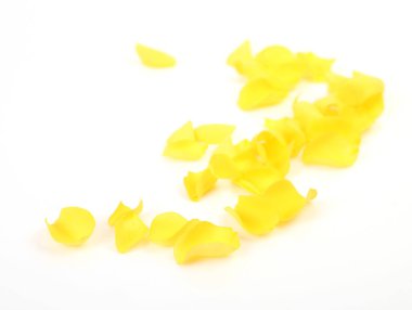 beyaz zemin üzerine sarı bir gül yaprakları