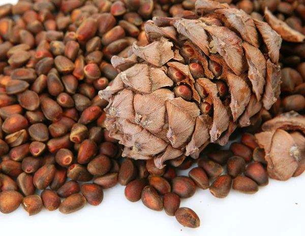 Pine Nuts Cones — Stock Photo, Image