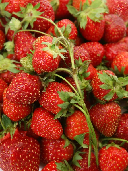 成熟草莓用于膳食营养 — 图库照片