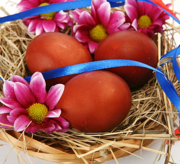 Colored Chicken Eggs Nest Blue Ribbon Flowe — Stock Photo, Image