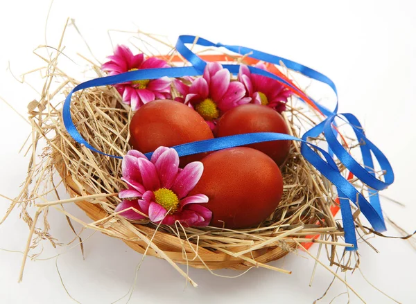 Colored Chicken Eggs Nest Blue Ribbon Flower — Stock Photo, Image