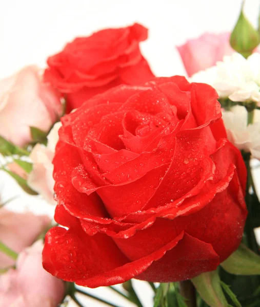 Bouquet Van Rozen Rode Rozen Een Witte Achtergrond — Stockfoto