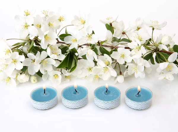 Άνθη Λευκά Μήλων Και Μπλε Κεριά — Φωτογραφία Αρχείου