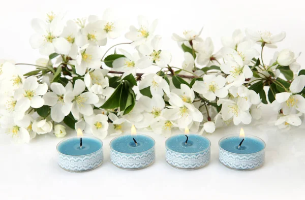 White Apple Blossoms Blue Candles — Stock Photo, Image