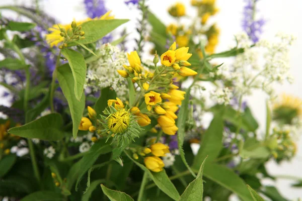 Boeket Van Wilde Bloemen Een Witte Achtergrond — Stockfoto