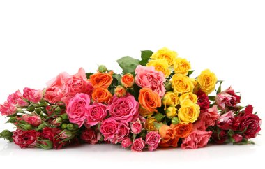 beyaz bir arka plan üzerinde çok renkli gül buketi