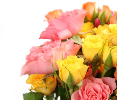 beyaz bir arka plan üzerinde çok renkli gül buketi