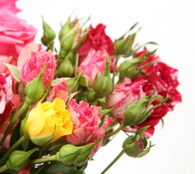 beyaz bir arka plan üzerinde çok renkli gül buketi