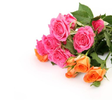 Beyaz arka planda pembe güller.