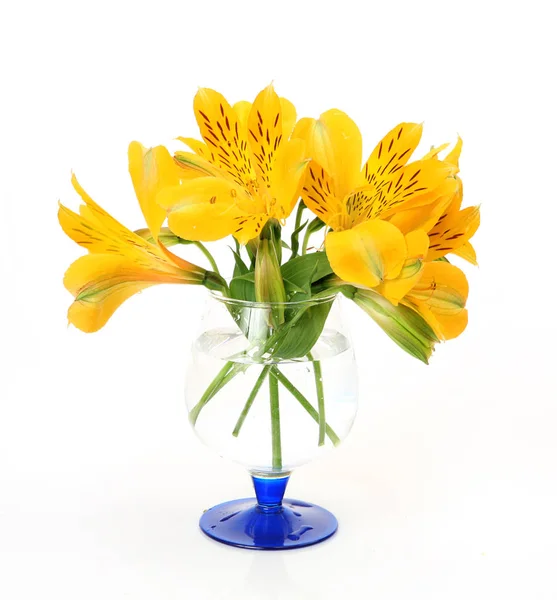 Yellow Flowers Glass — Stock Photo, Image