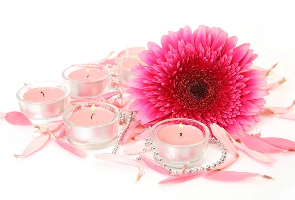 Pink Flower Burning Candles White Background — Stock Photo, Image