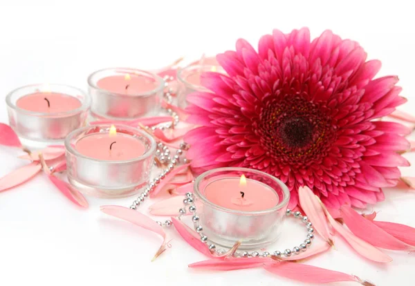 Roze Bloem Brandende Kaarsen Een Witte Achtergrond — Stockfoto