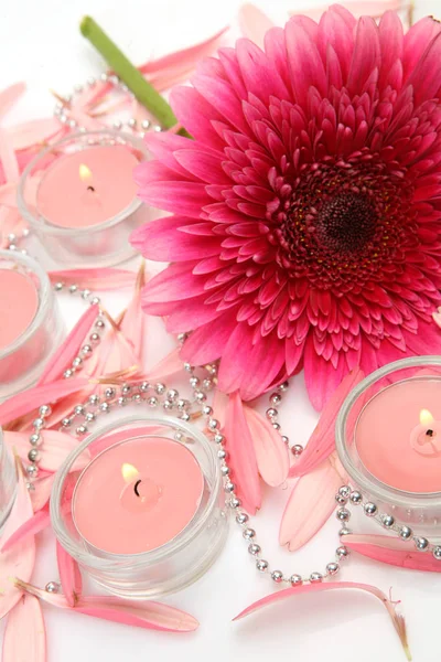 Roze Bloem Brandende Kaarsen Een Witte Achtergrond — Stockfoto