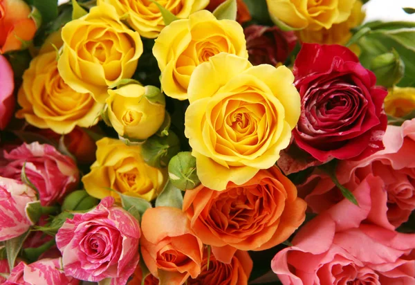 一束黄色和粉红色的玫瑰 — 图库照片