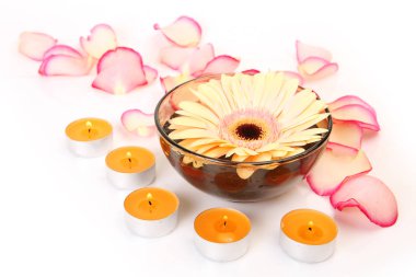 bir bardak ve gül yaprakları içinde yüzen çiçek