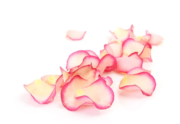 Pétales Rose Sur Fond Blanc — Photo