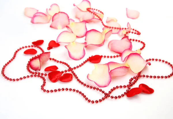 Rose Petals White Background — Stock Photo, Image