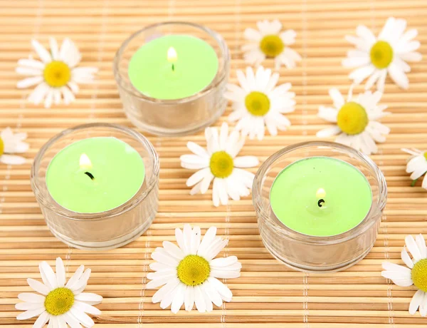 Chamomile Burning Green Candles — Stock Photo, Image