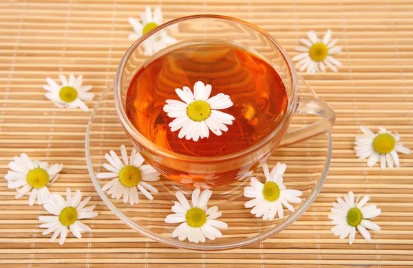 Bir Kupa Papatya Çiçekleri Çay — Stok fotoğraf