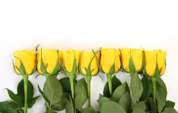 Μπουκέτο Κίτρινα Τριαντάφυλλα Λευκό Φόντο — Φωτογραφία Αρχείου